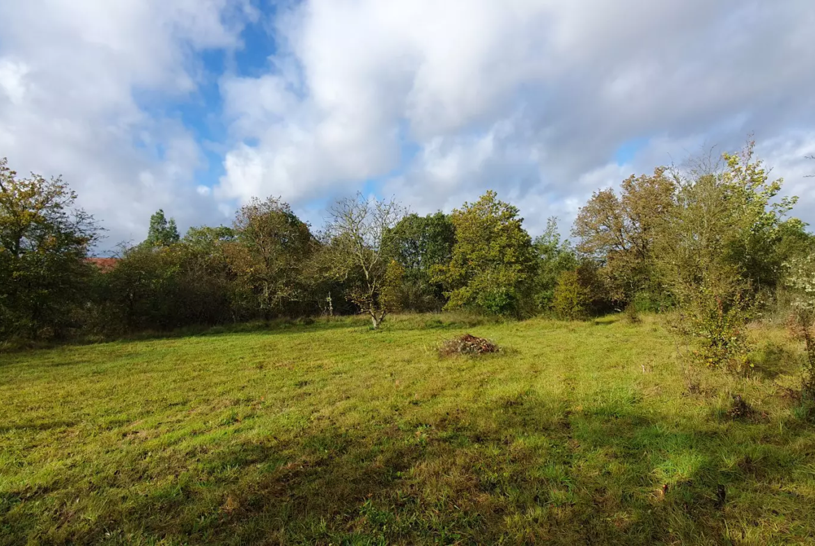 Terrain constructible