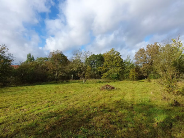Terrain constructible