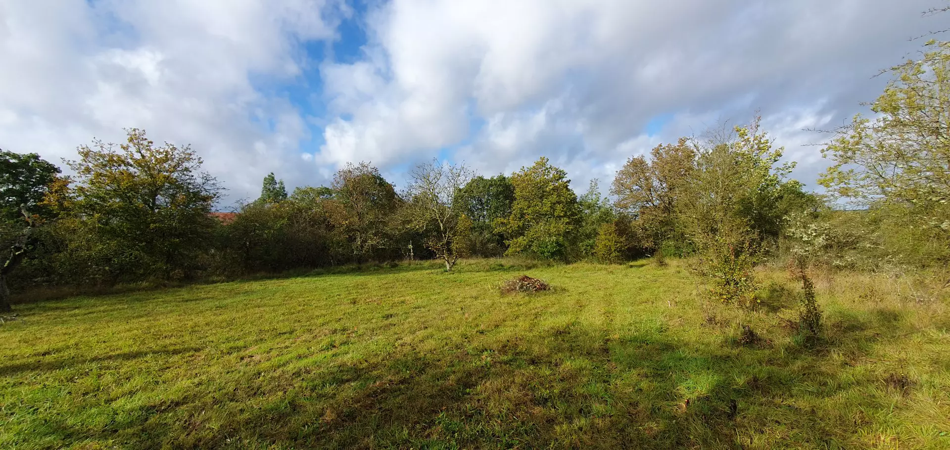 Terrain constructible